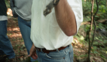 field camp 008