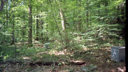 field camp 012